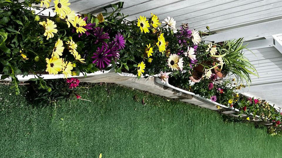 "תחזוקת גינות שוטפת ברעננה והשרון - שירות מקצועי ואמין"