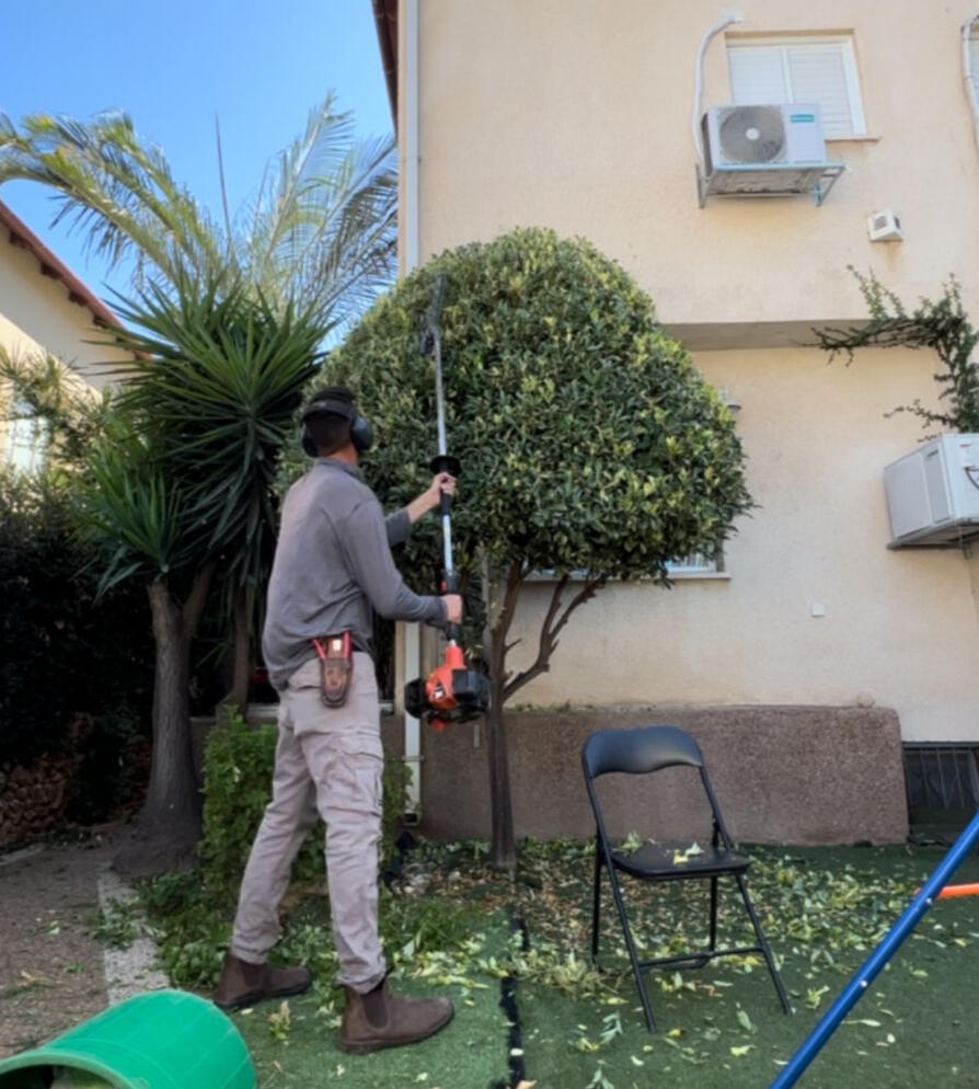 "התקנת דשא סינתטי לגינה ברעננה - פתרונות חסכוניים וירוקים"