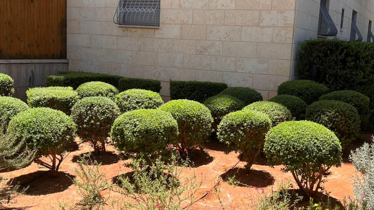 גיזום ניקיון גנן - "שירותי גינון משתלמים ברעננה והשרון - עיצוב ותחזוקת גינות"